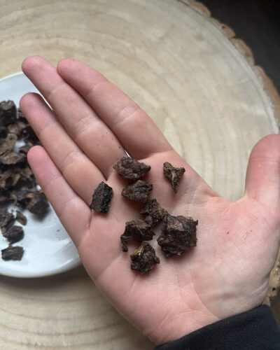 Paardenlong mini trainers