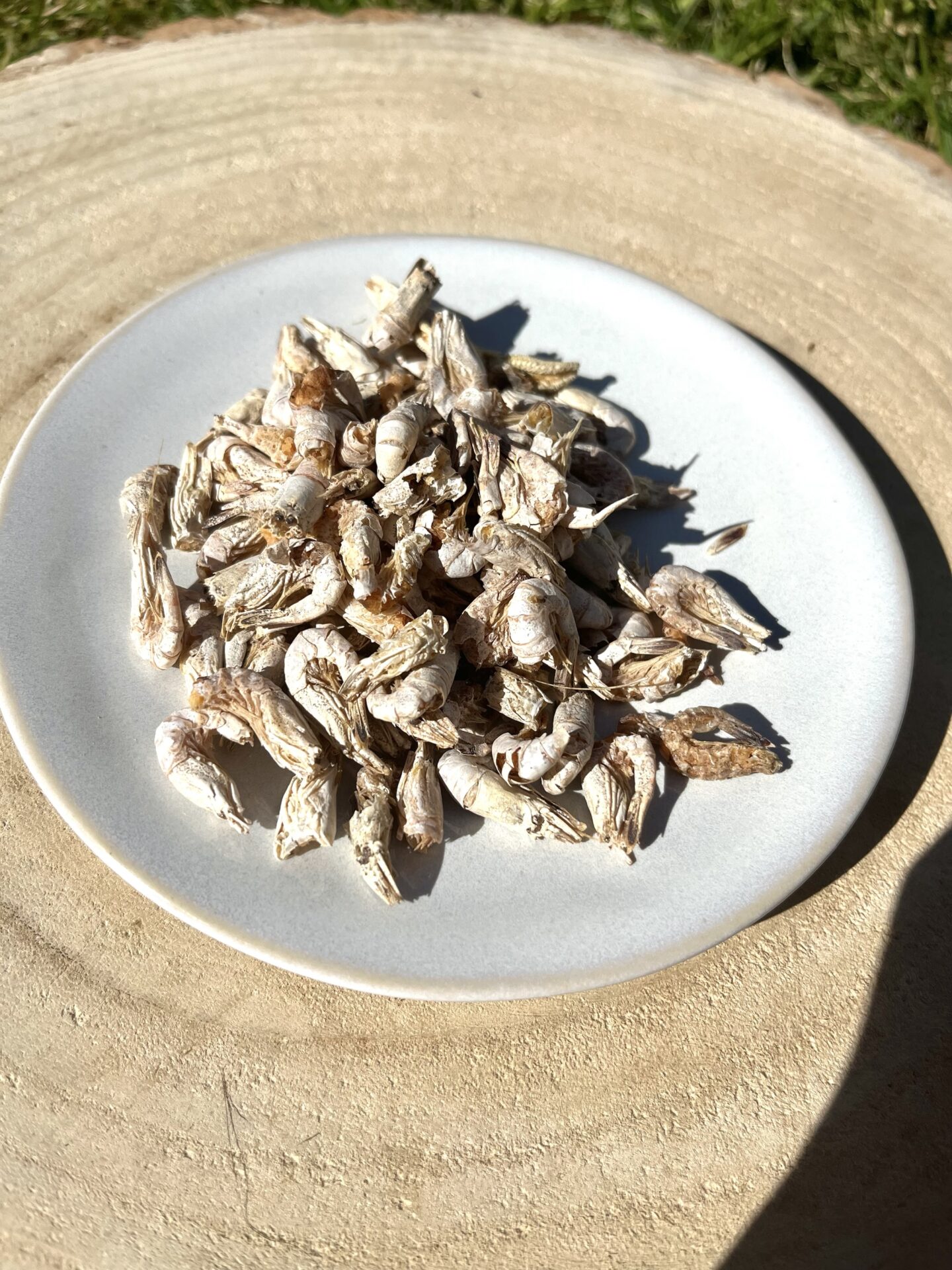 Garnaaltjes