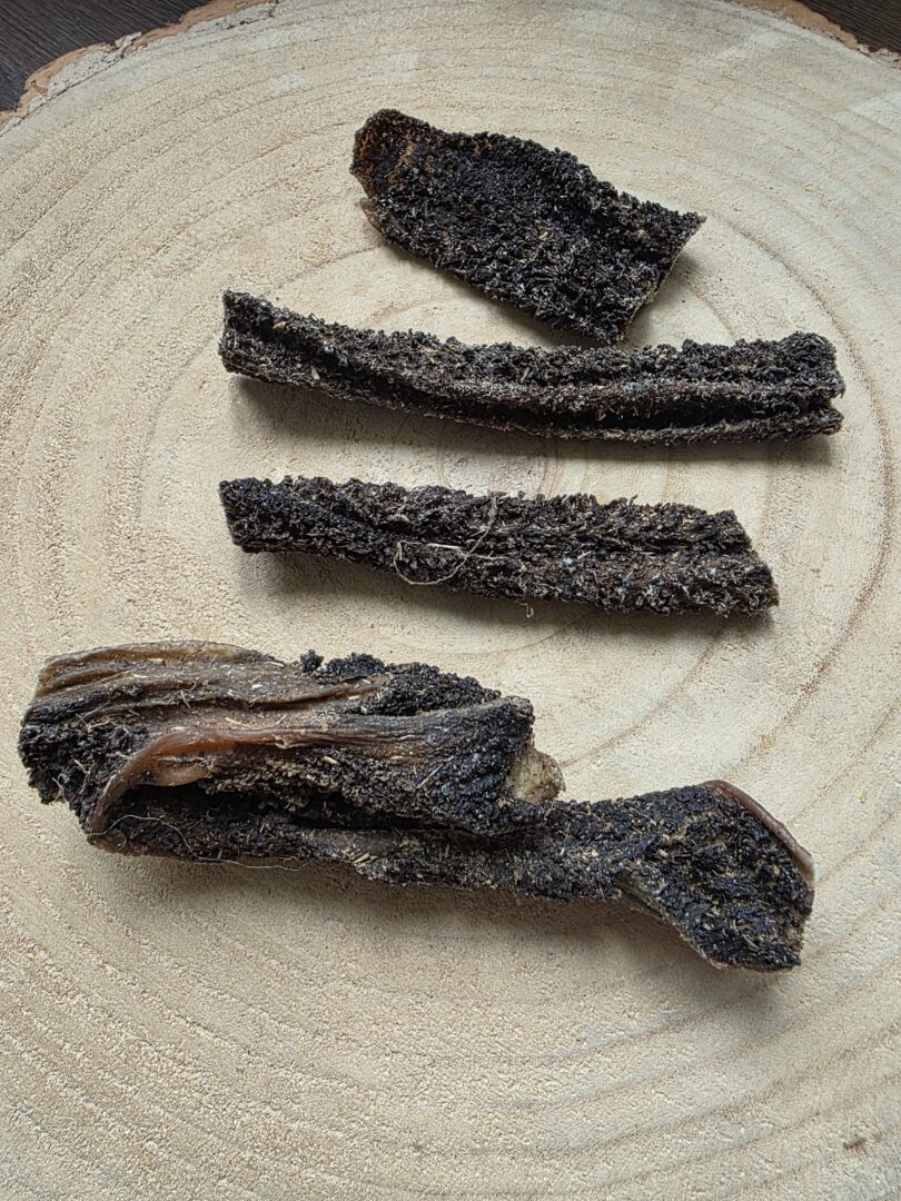 Geitenpens