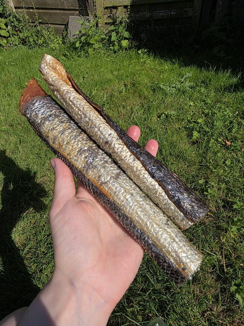 Zalmhuid met vlees
