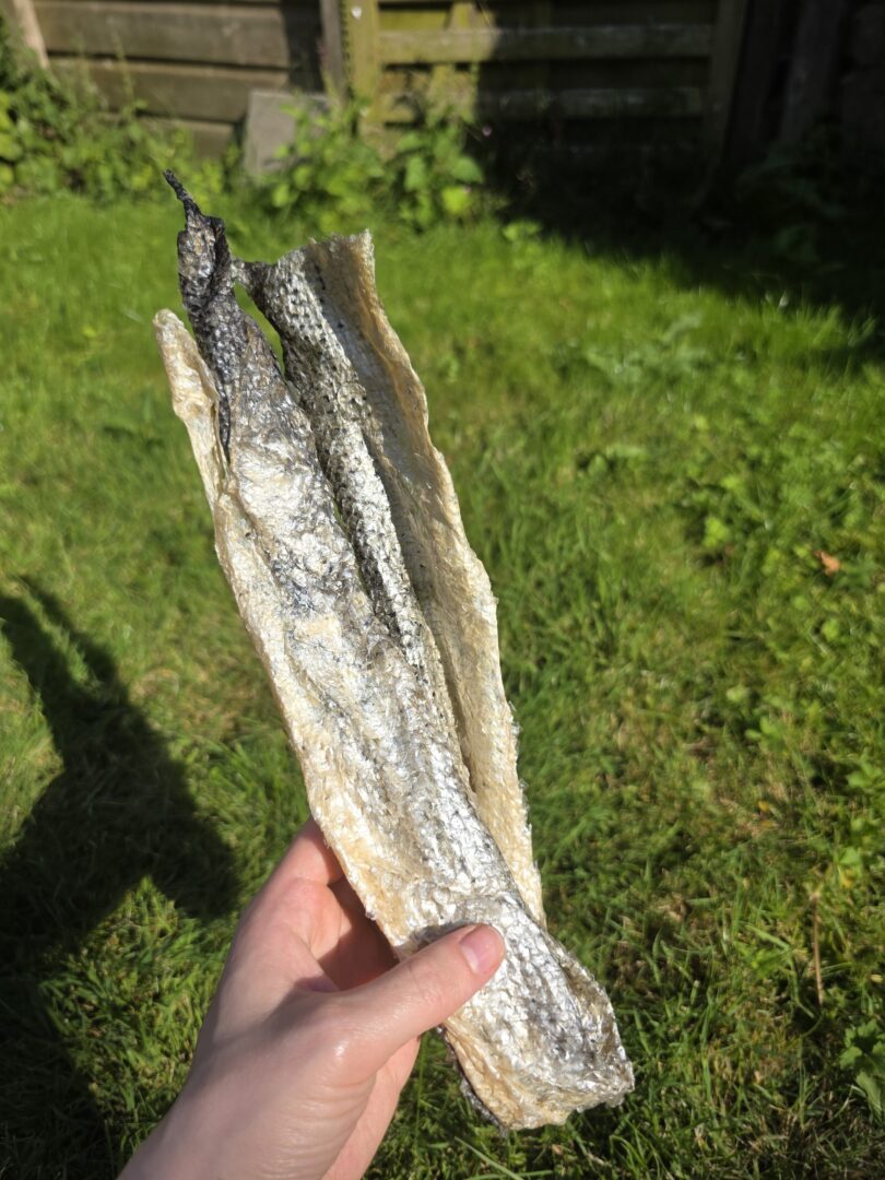 Zalmhuid